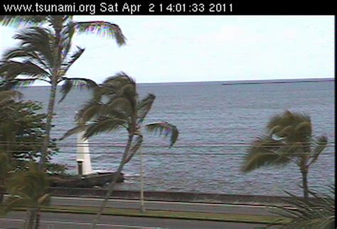 coconut island webcam|hilo tsunami museum webcam.